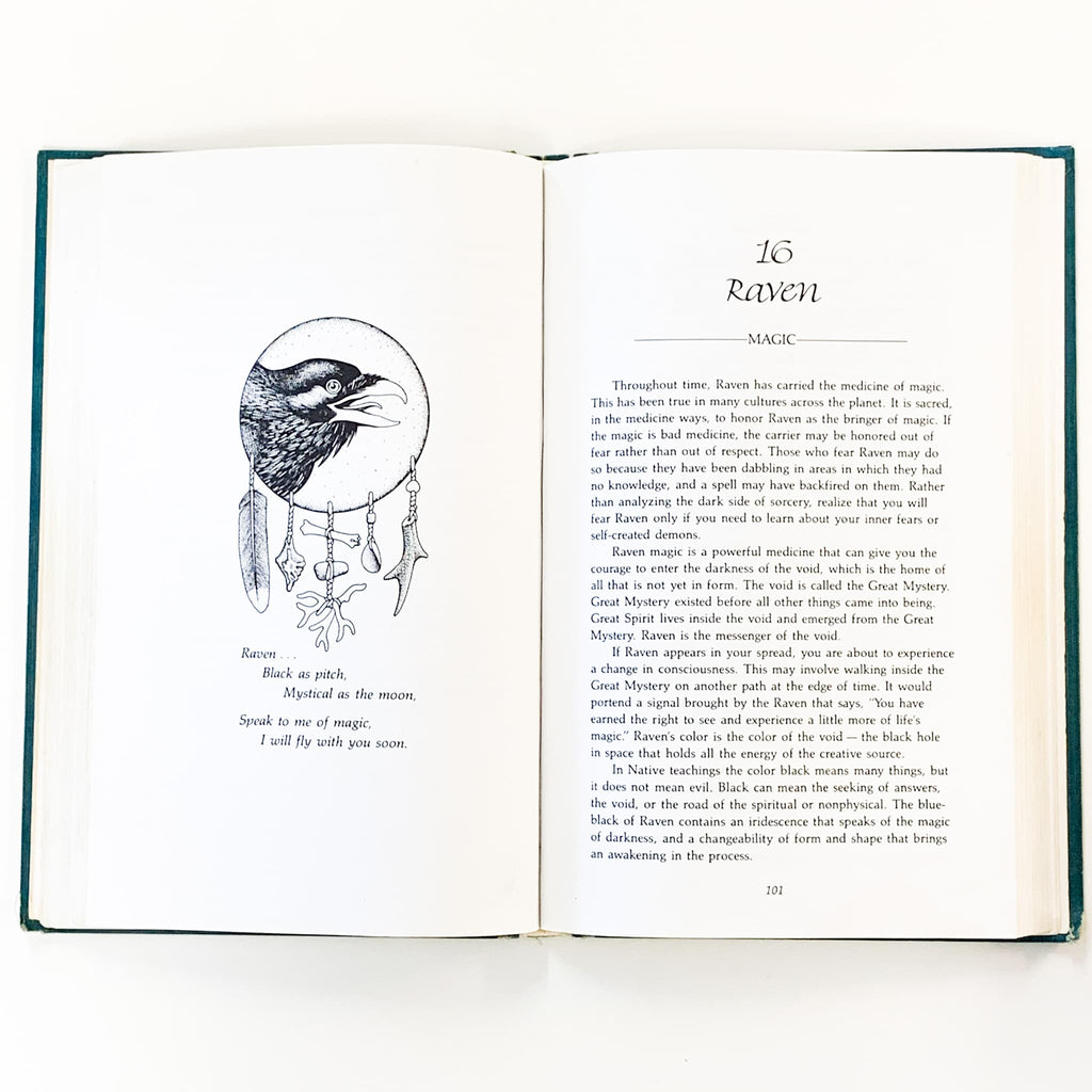 Medicine Cards: The Discovery of Power Through the Ways of Animals image 1