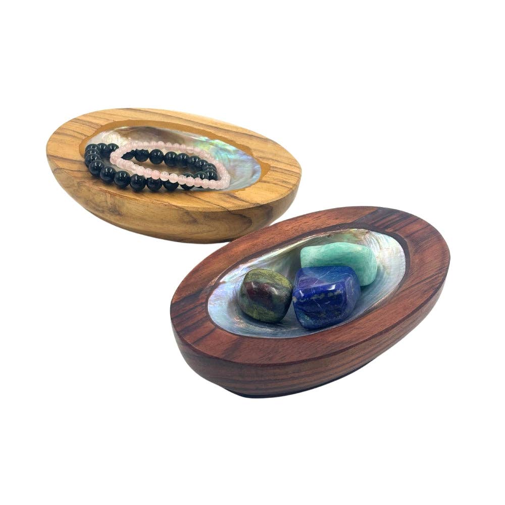 Abalone Shell in Wood Base