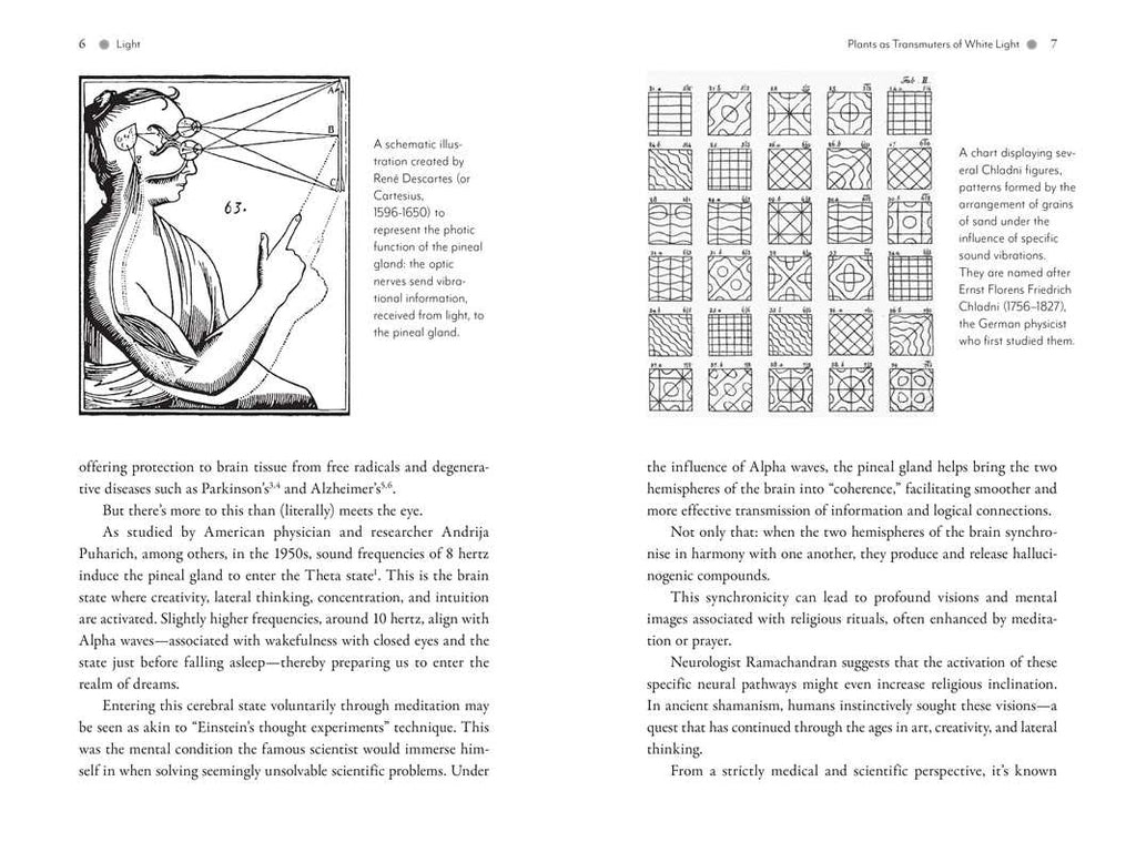 Awakening the Pineal Gland: Celular Rejuvenation Through iIght and Sound