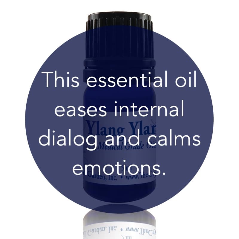 Ylang Ylang Essential Oil image 1