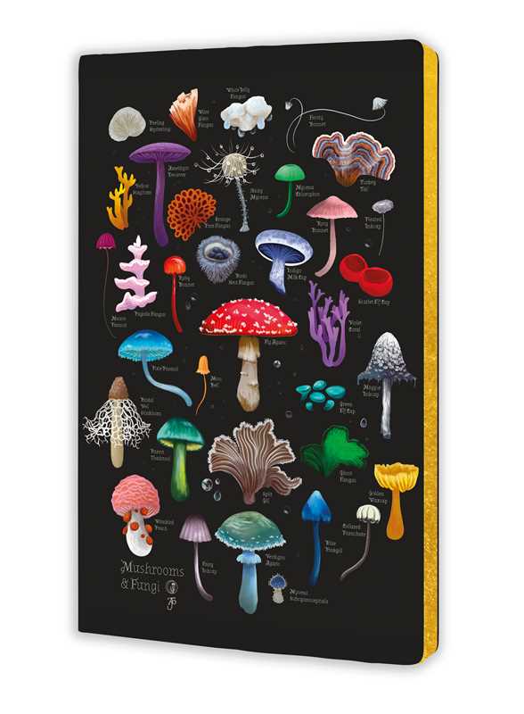 Notebook with colorful mushroom illustrations on a black background