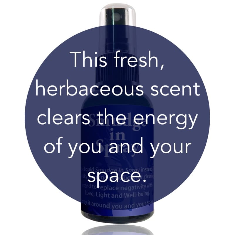 Smudge in Spray 2 oz. image 1