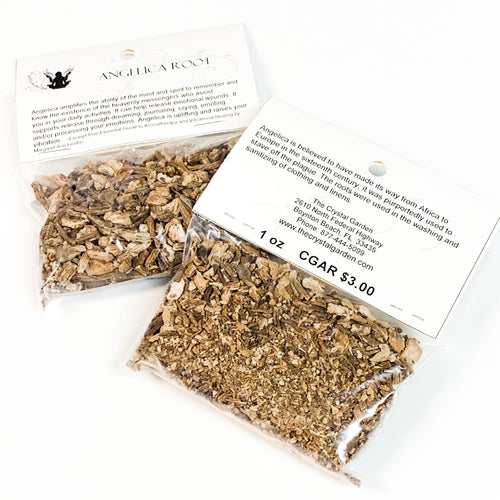 Angelica Root image 1