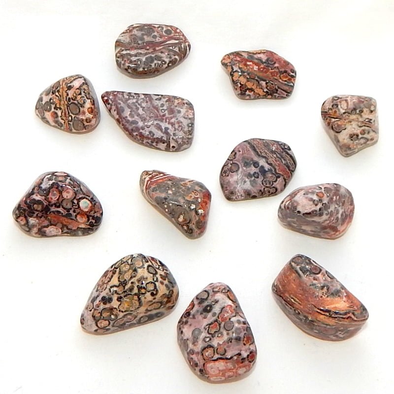 Leopardskin Jasper image 0
