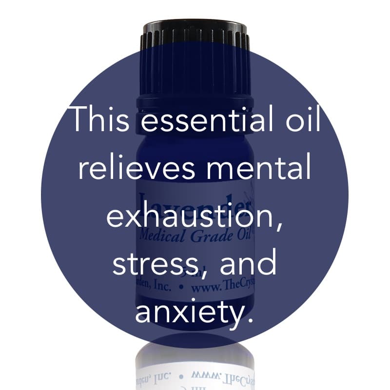 Lavender Essential Oil image 1