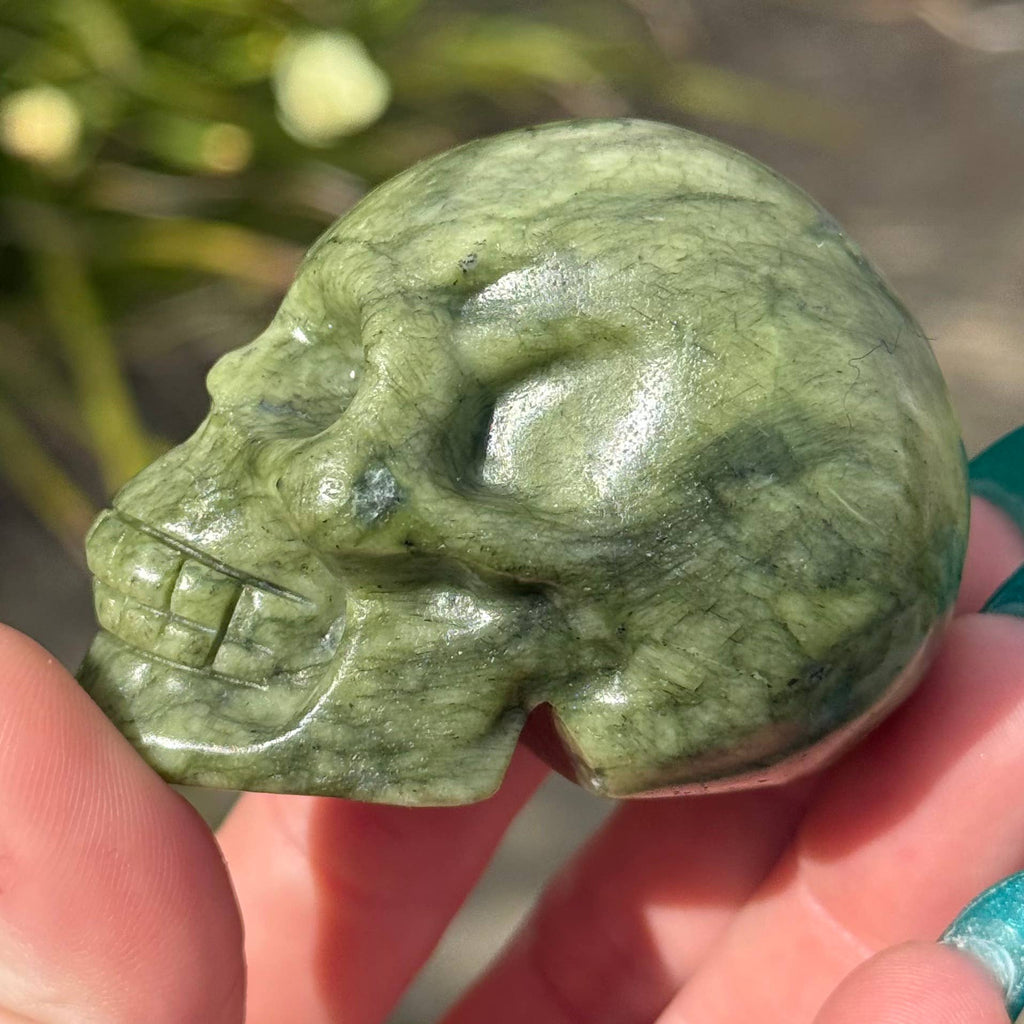 Serpentine Skull