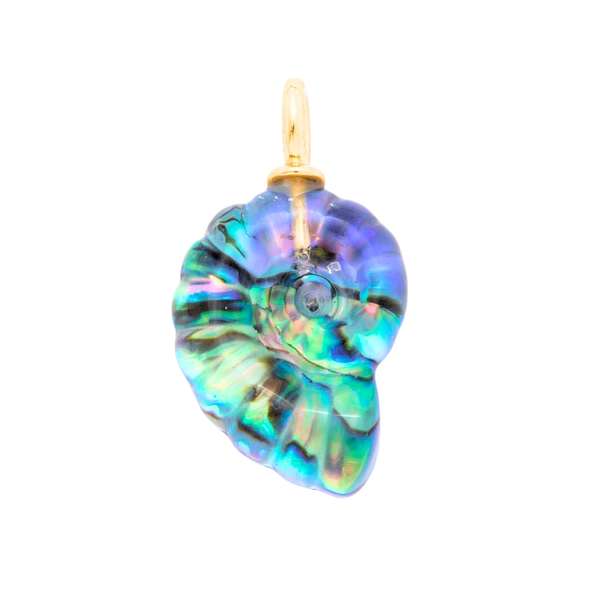 A nautilus shell pendant with iridescent blue, green, and purple abalone shell inlay, attached to a gold bail, shown on a plain white background.