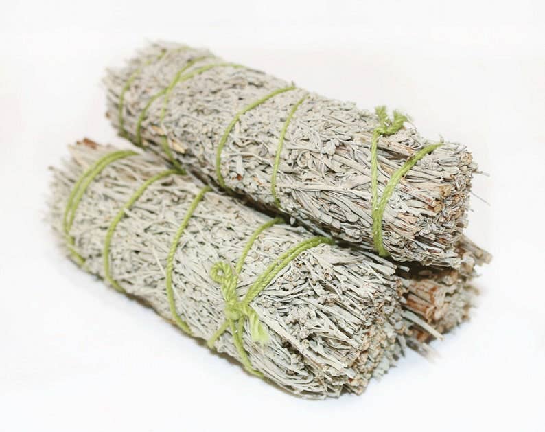 Two bundles of blue sage tied with green twine on a white background