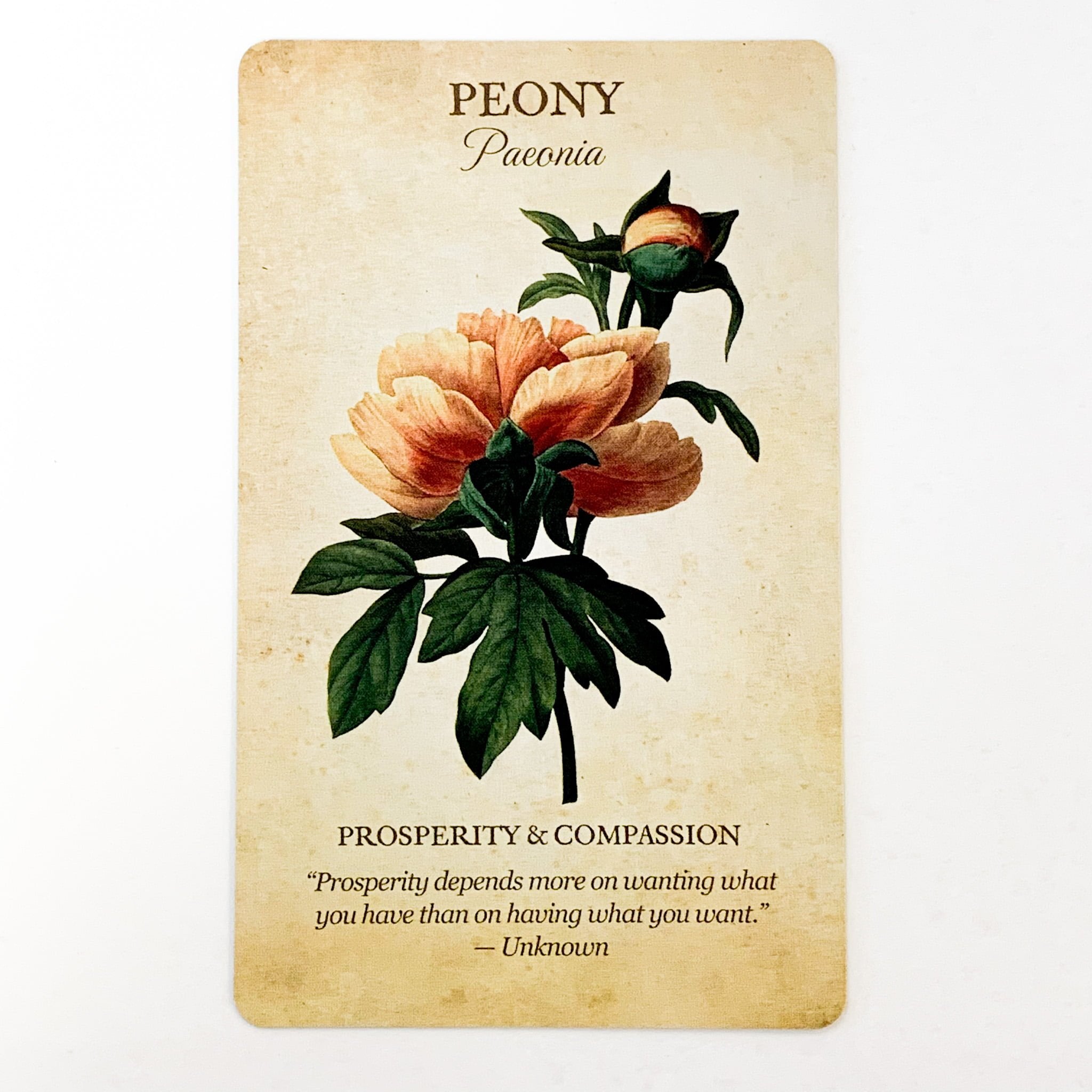 Card with peony illustration and text on a beige background