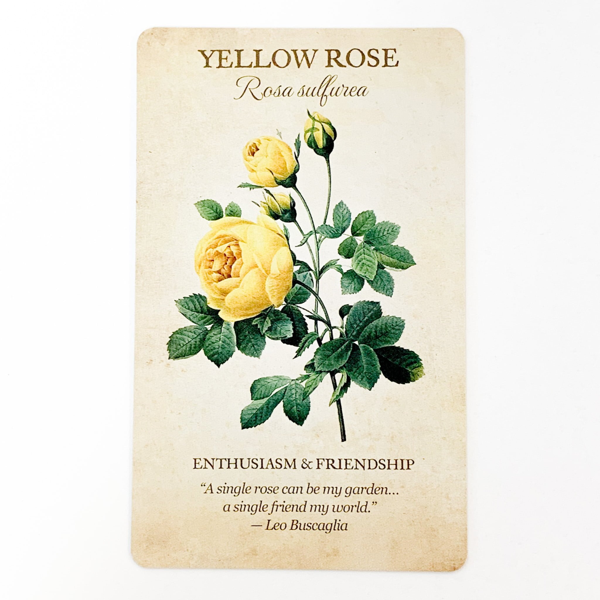 Card with illustration of yellow roses and text on a beige background