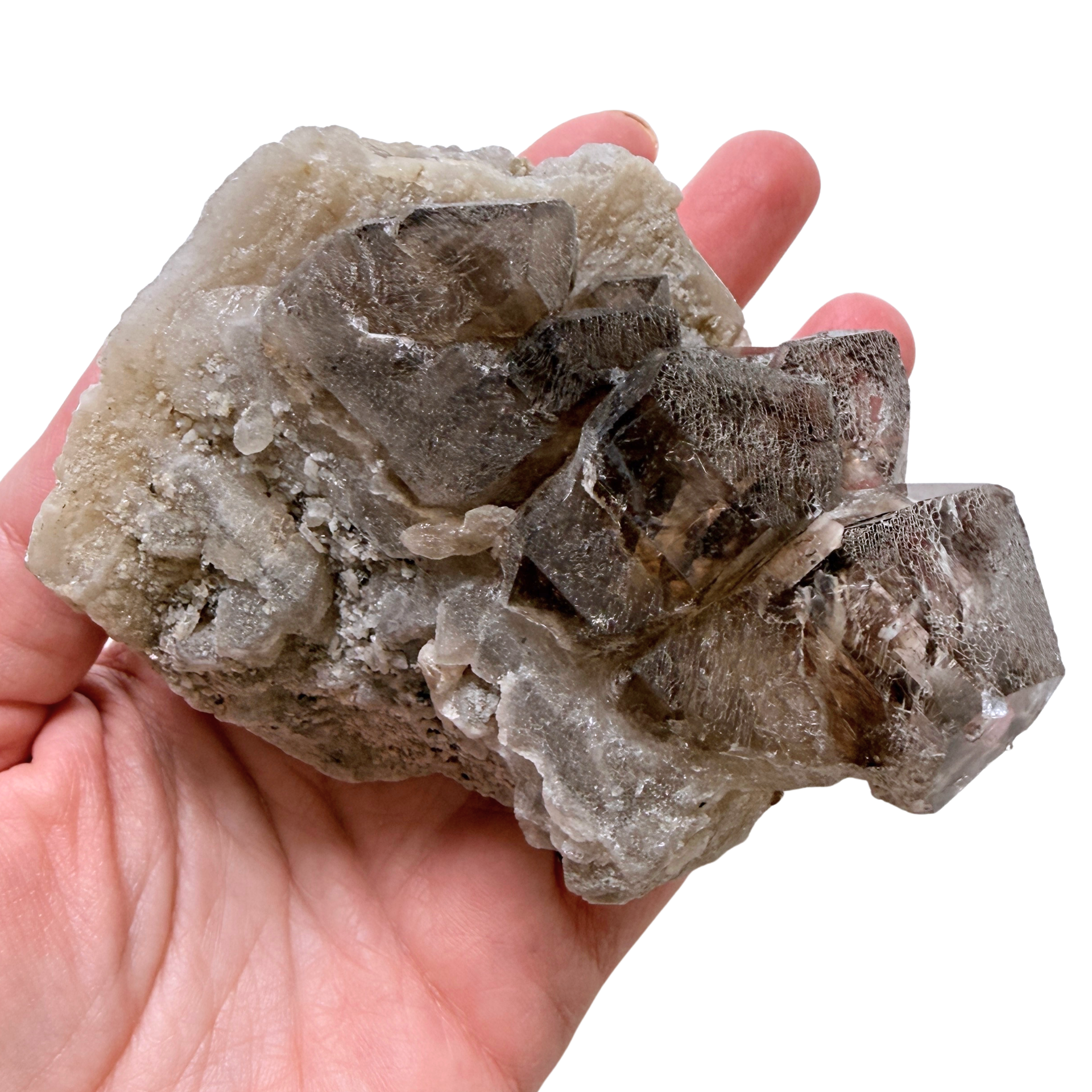 Large Elestial point on a hand for scale