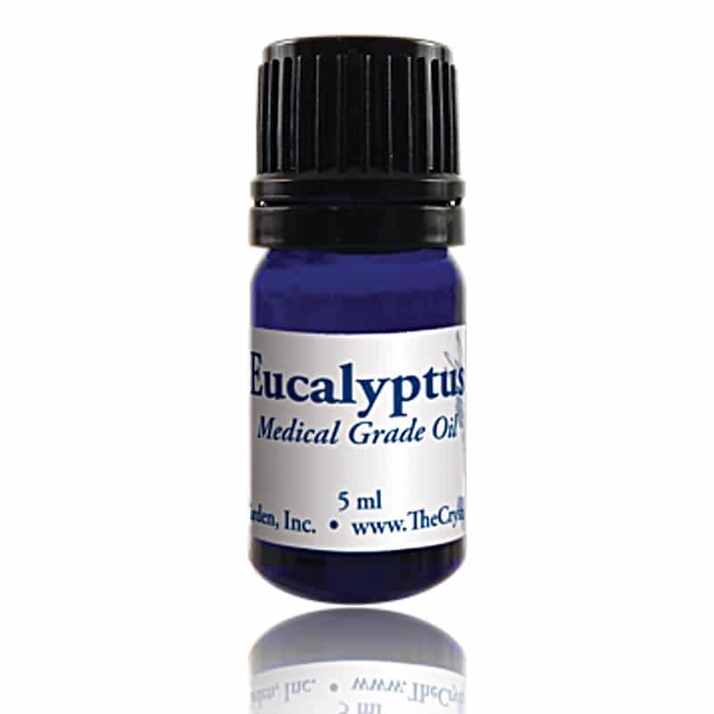 Eucalyptus Essential Oil image 0