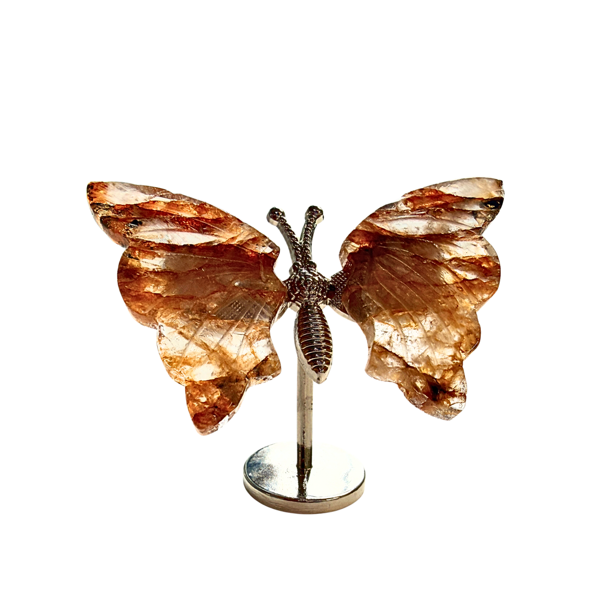 Golden Healer Butterfly