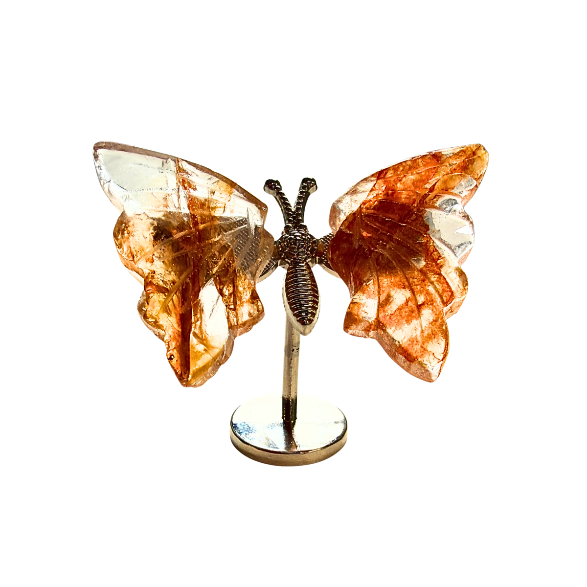 Golden Healer Butterfly