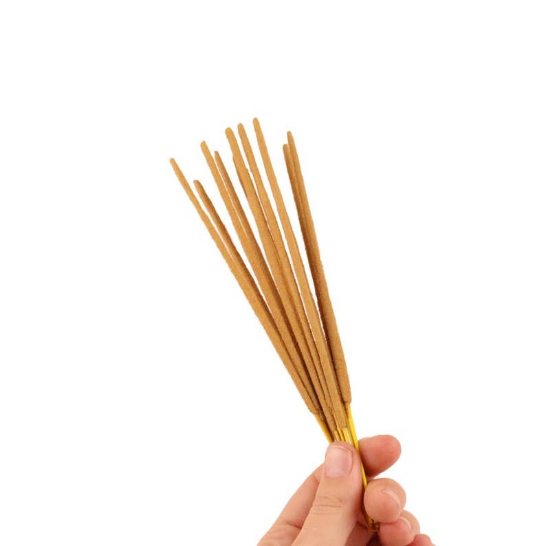 Hand holding a bundle of incense sticks against a white background