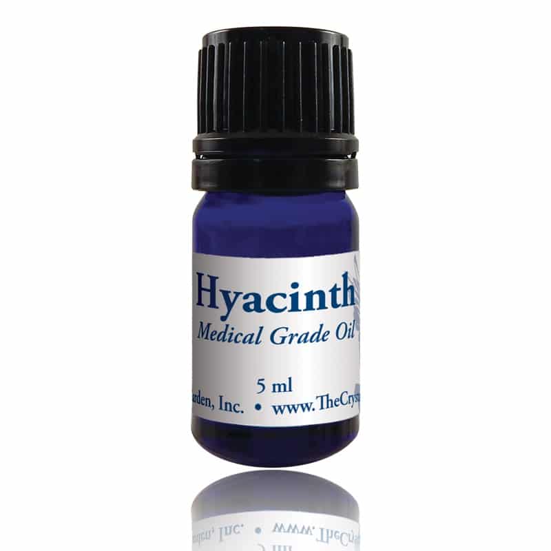 Hyacinth Essential Oil image 0