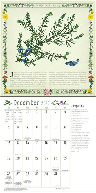 A botanical calendar page for January featuring an illustrated juniper branch with blue berries and German text, shown above a December 2021 calendar grid on a white background.