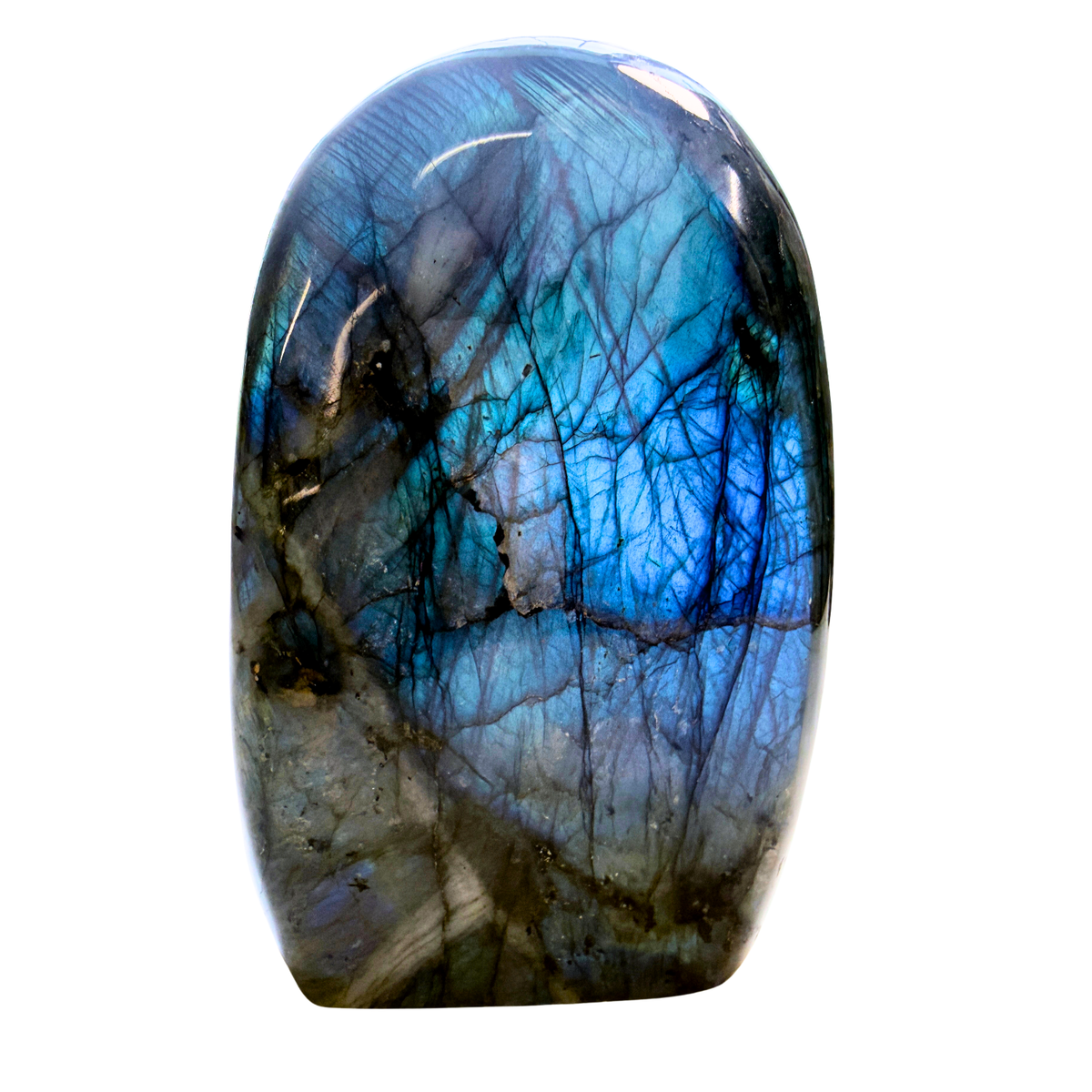 Labradorite Free Form Piece with blue flash on a white background