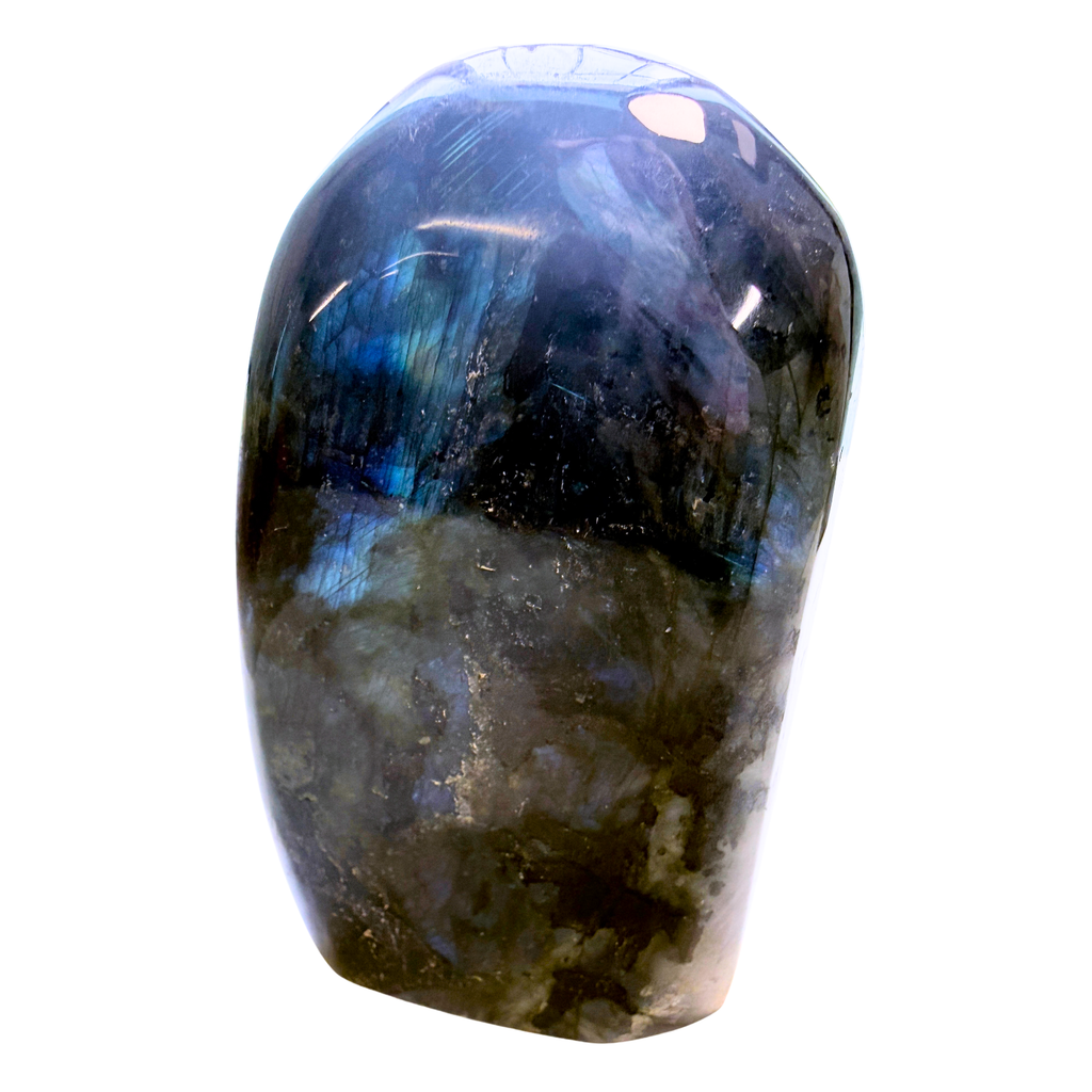 Back of Labradorite Free Form Piece showing more blue flash on a white background