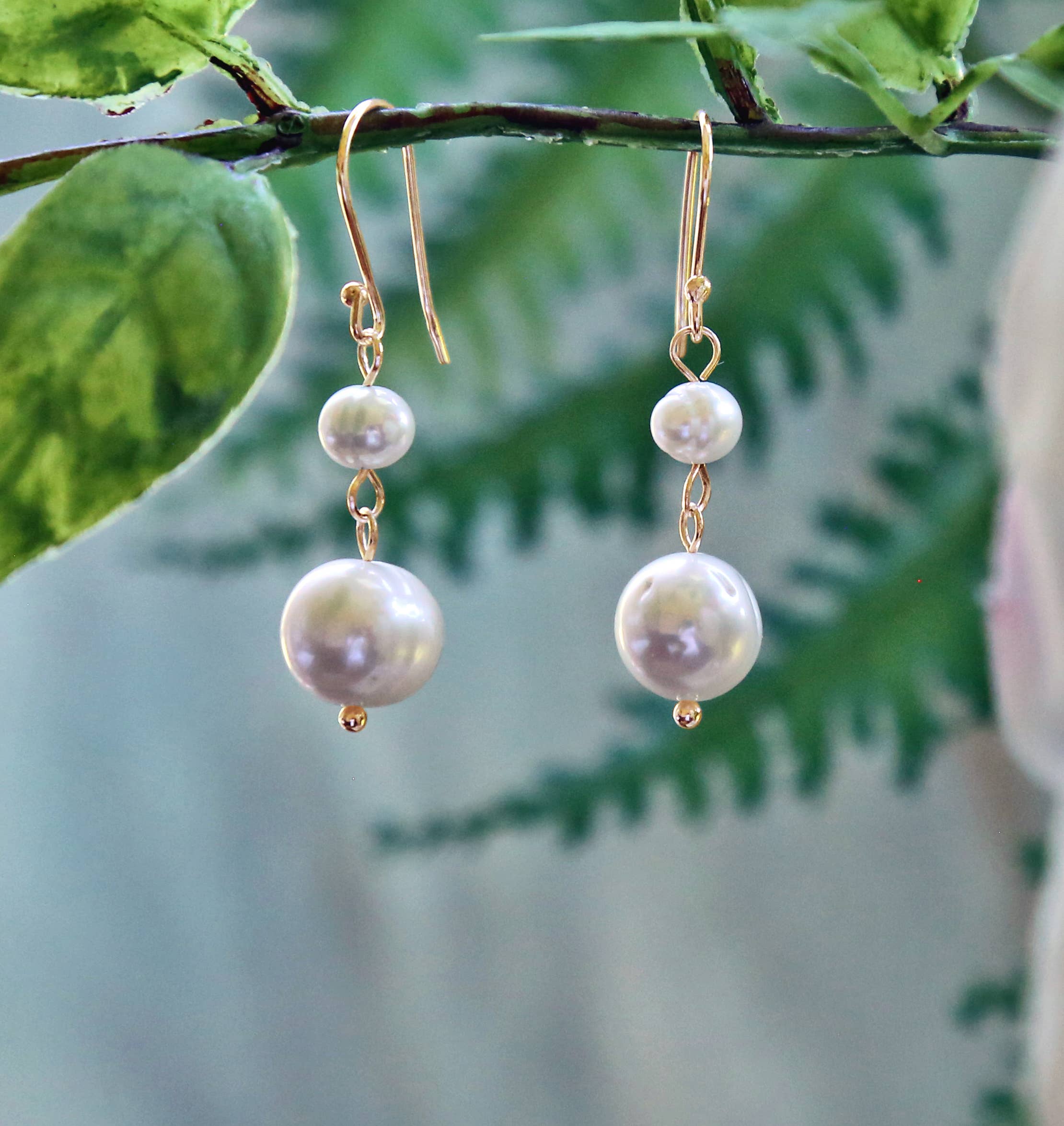 Pearl earrings with gold hooks on a branch with green leaves.