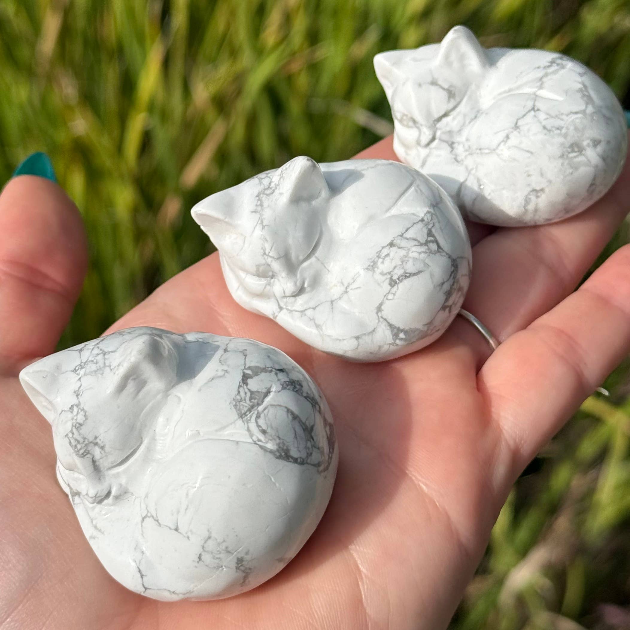 Sleepy Kitty Howlite