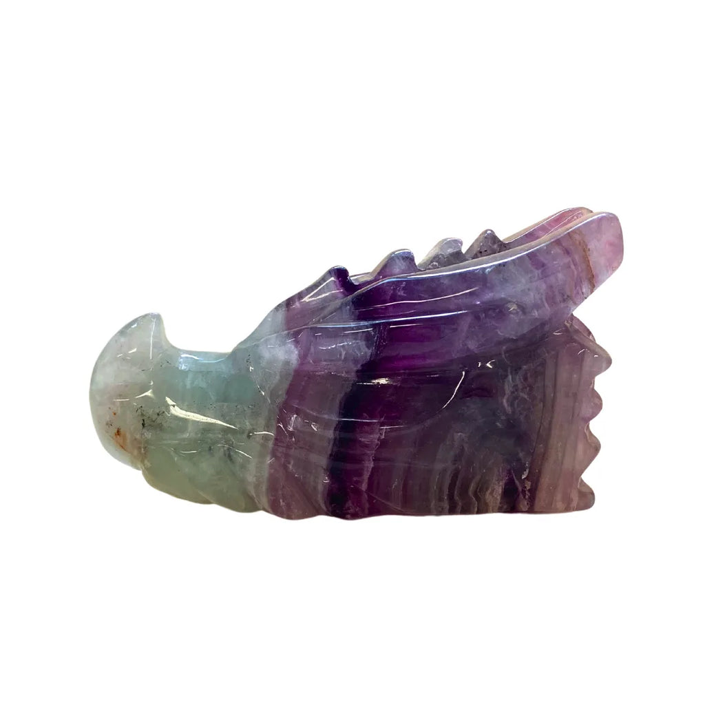 Fluorite Dragon Skull image 4