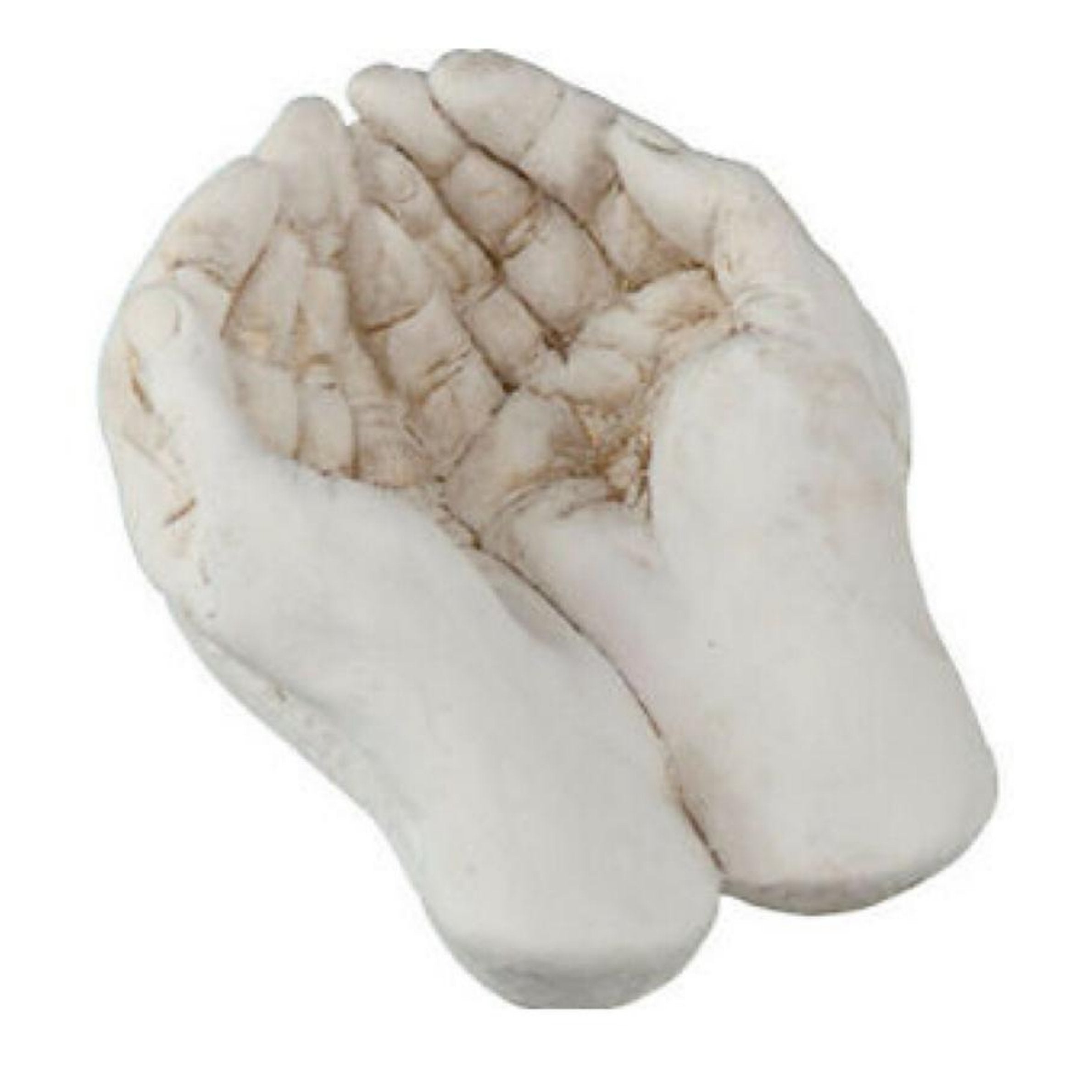 God's Hands Large image 0