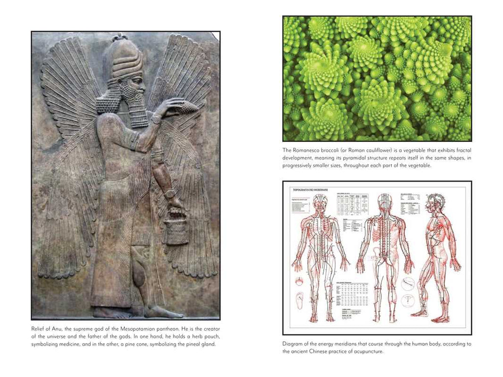Awakening the Pineal Gland: Celular Rejuvenation Through iIght and Sound