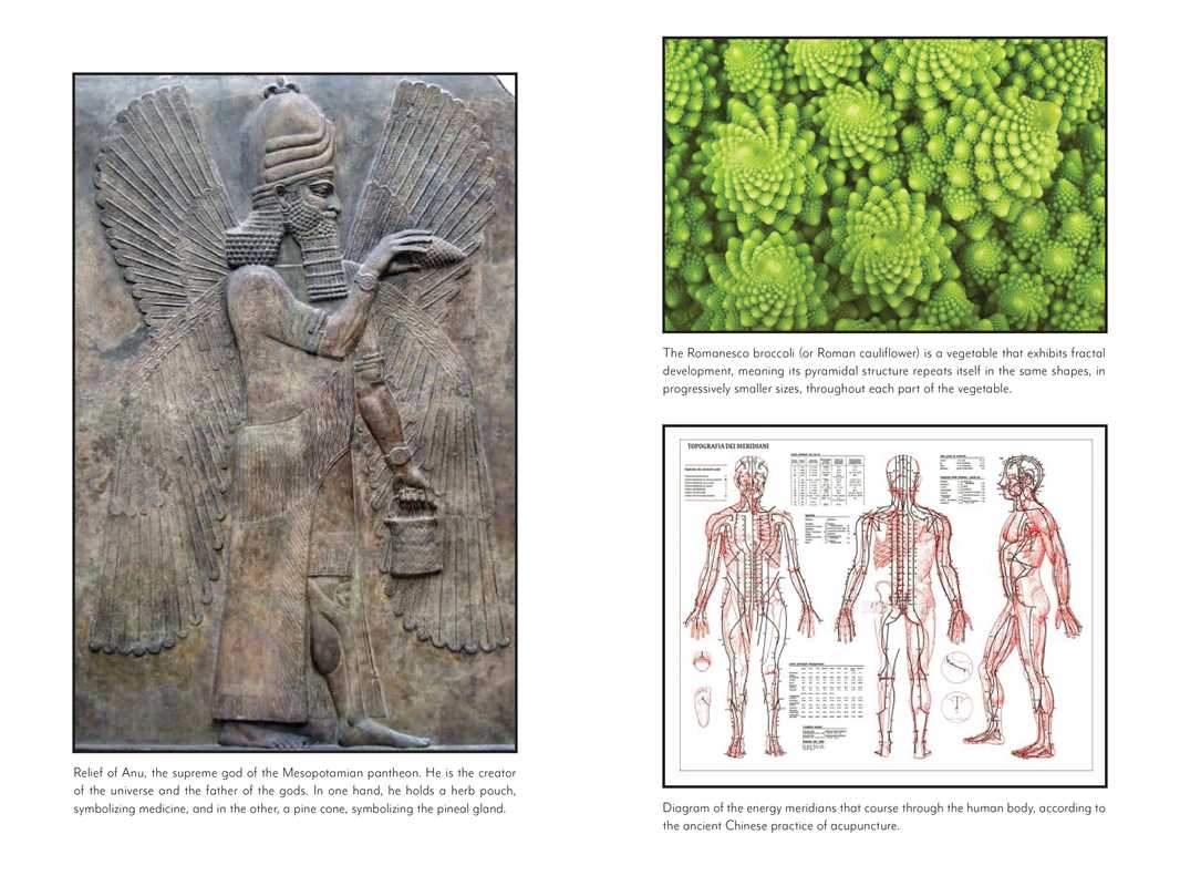 Awakening the Pineal Gland: Celular Rejuvenation Through iIght and Sound