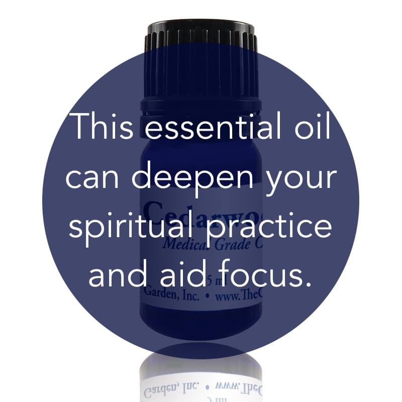 Cedarwood Essential Oil image 1