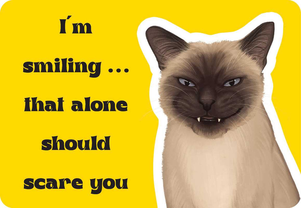 Cattitude