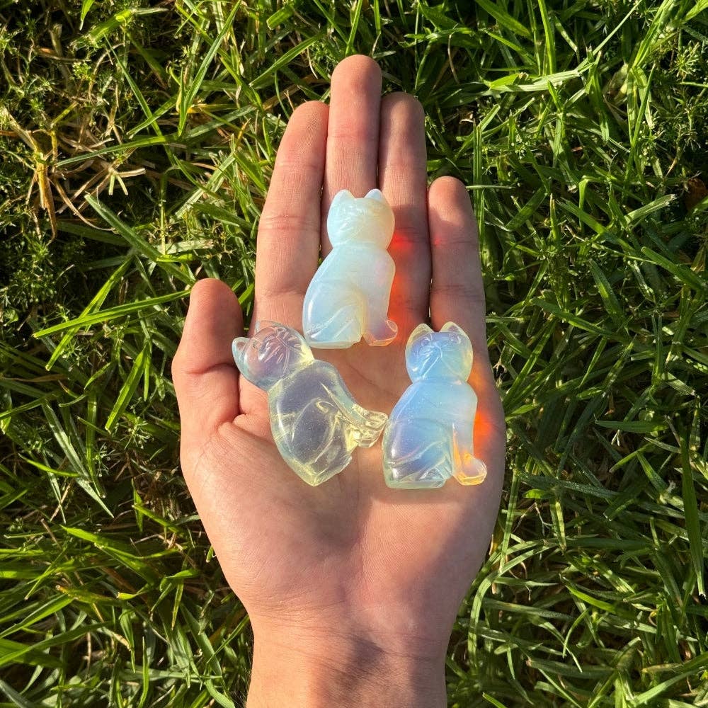 Opalite Cat