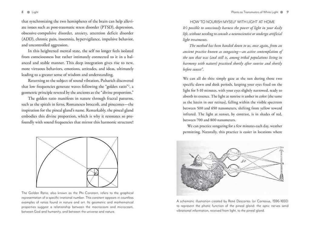 Awakening the Pineal Gland: Celular Rejuvenation Through iIght and Sound
