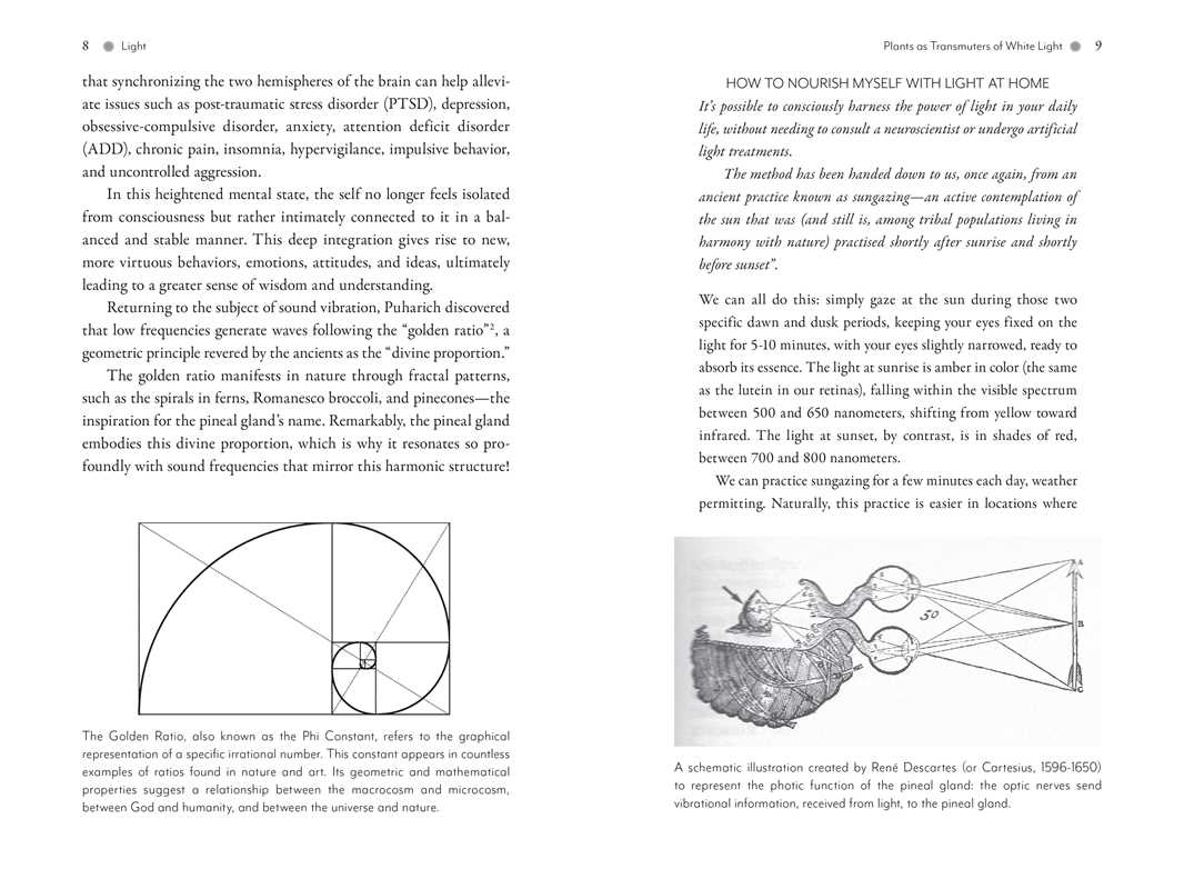 Awakening the Pineal Gland: Celular Rejuvenation Through iIght and Sound