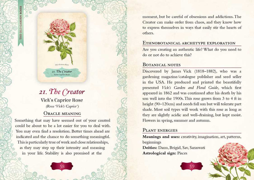 Oracle of The Roses
