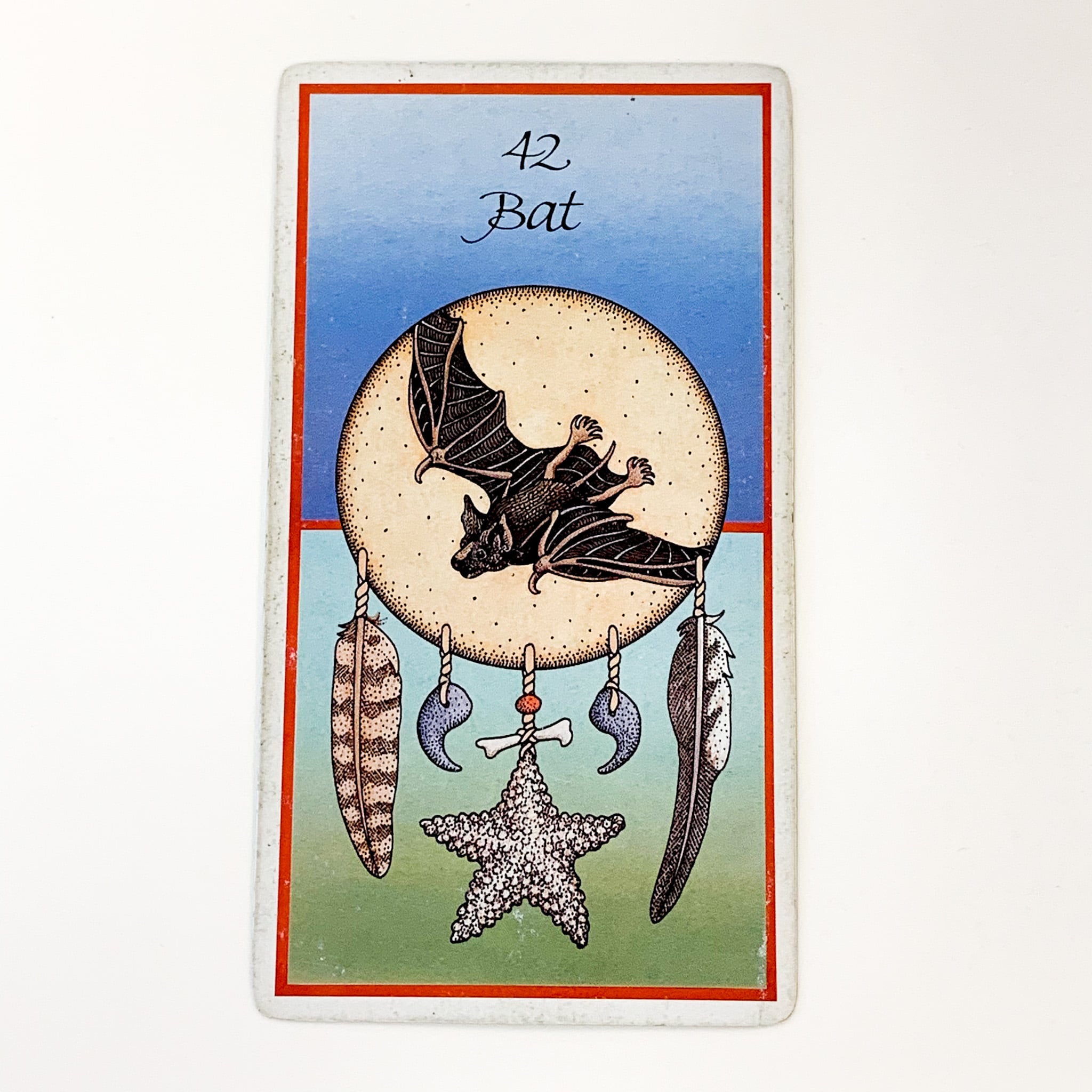 Medicine Cards: The Discovery of Power Through the Ways of Animals image 2