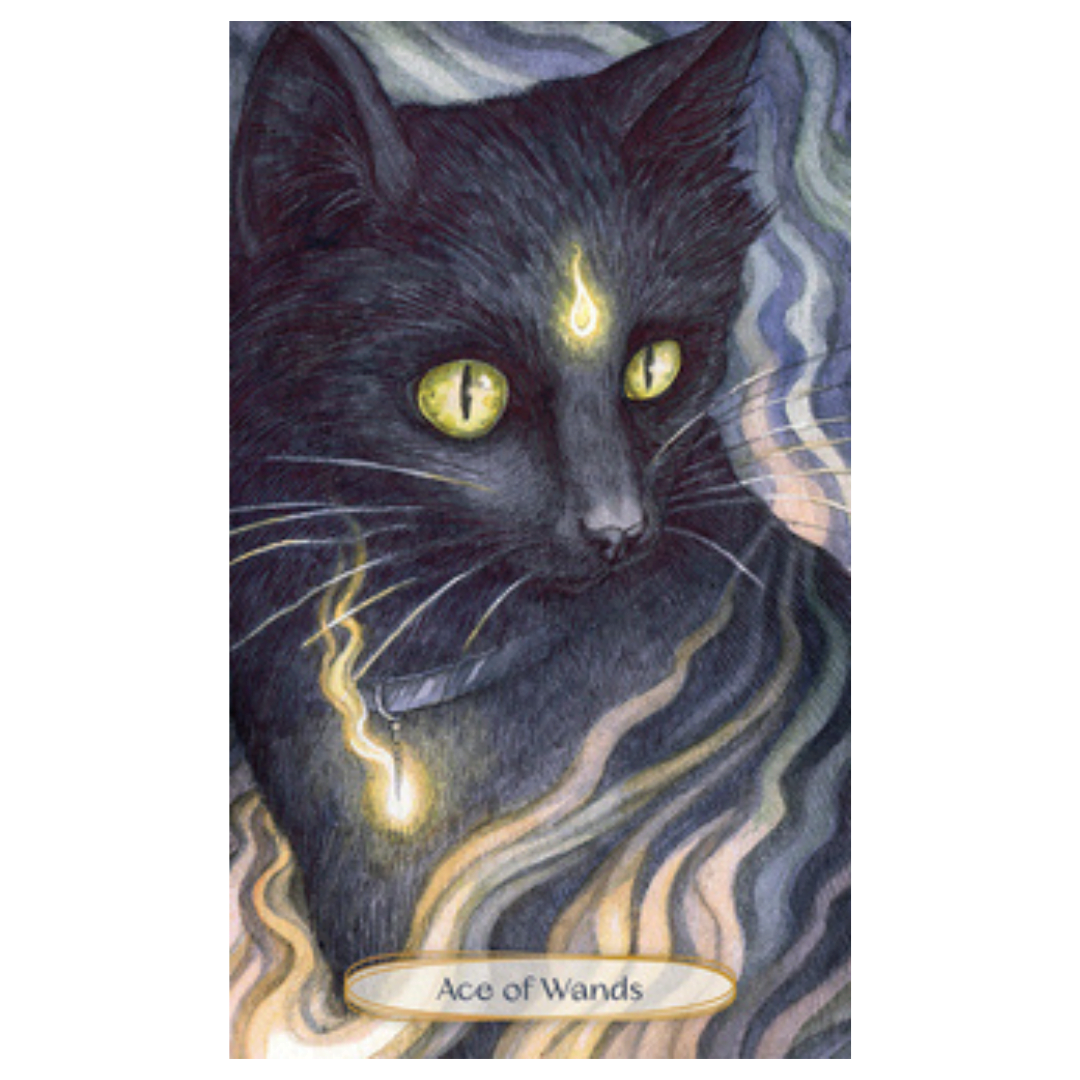 Soul Cats Tarot image 2