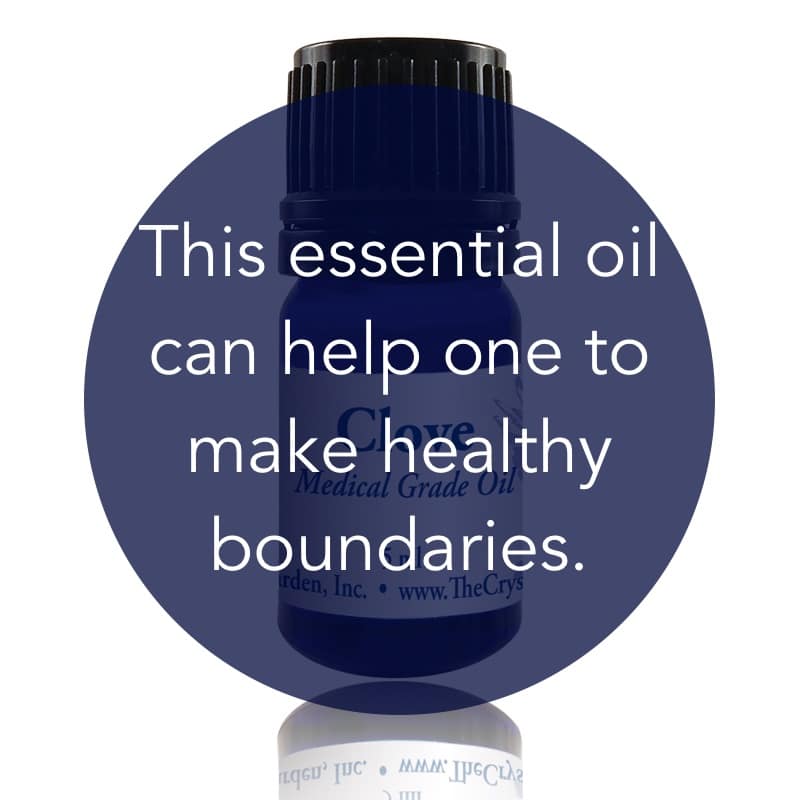 Clove Essential Oil image 1