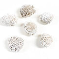 Selenite Rose (Desert Rose) image 0