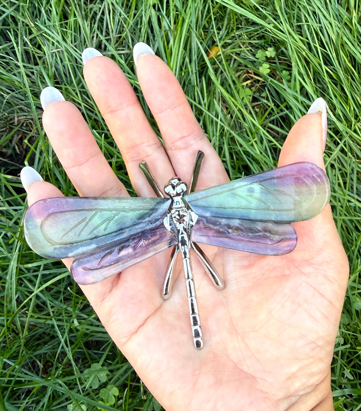 Fluorite Dragonfly