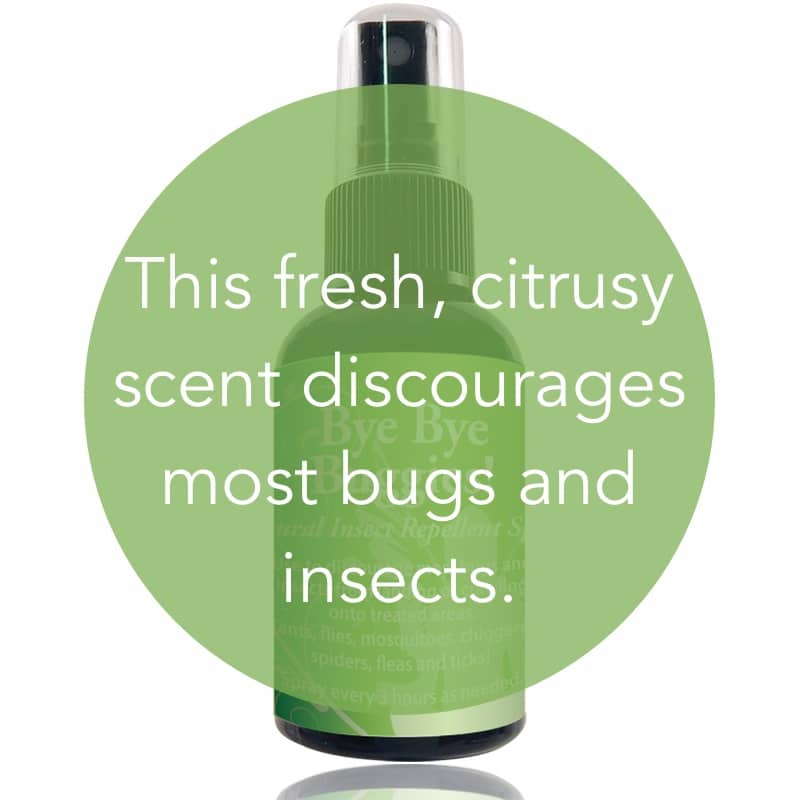 Bye Bye Buggies Natural Insect Repellent Room Deodorizer image 1