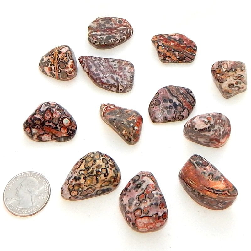 Leopardskin Jasper image 1