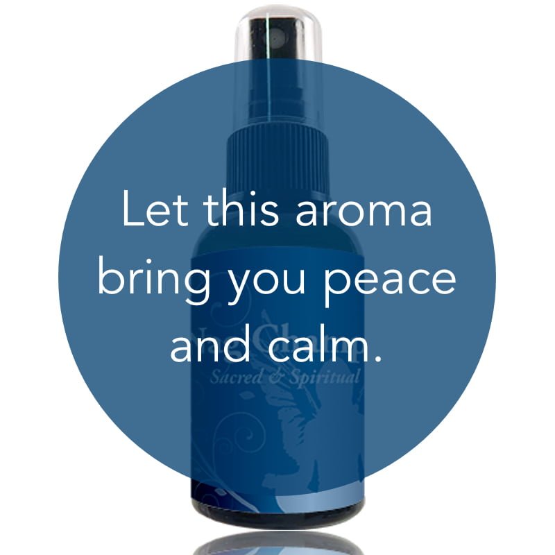 Nag Champa Spray image 1