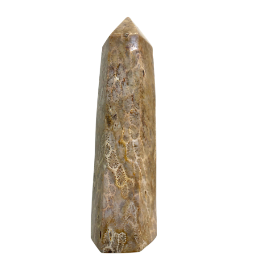 Coral Fossil Obelisk image 0