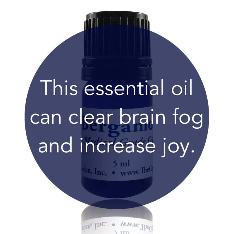 Bergamot Essential Oil image 1