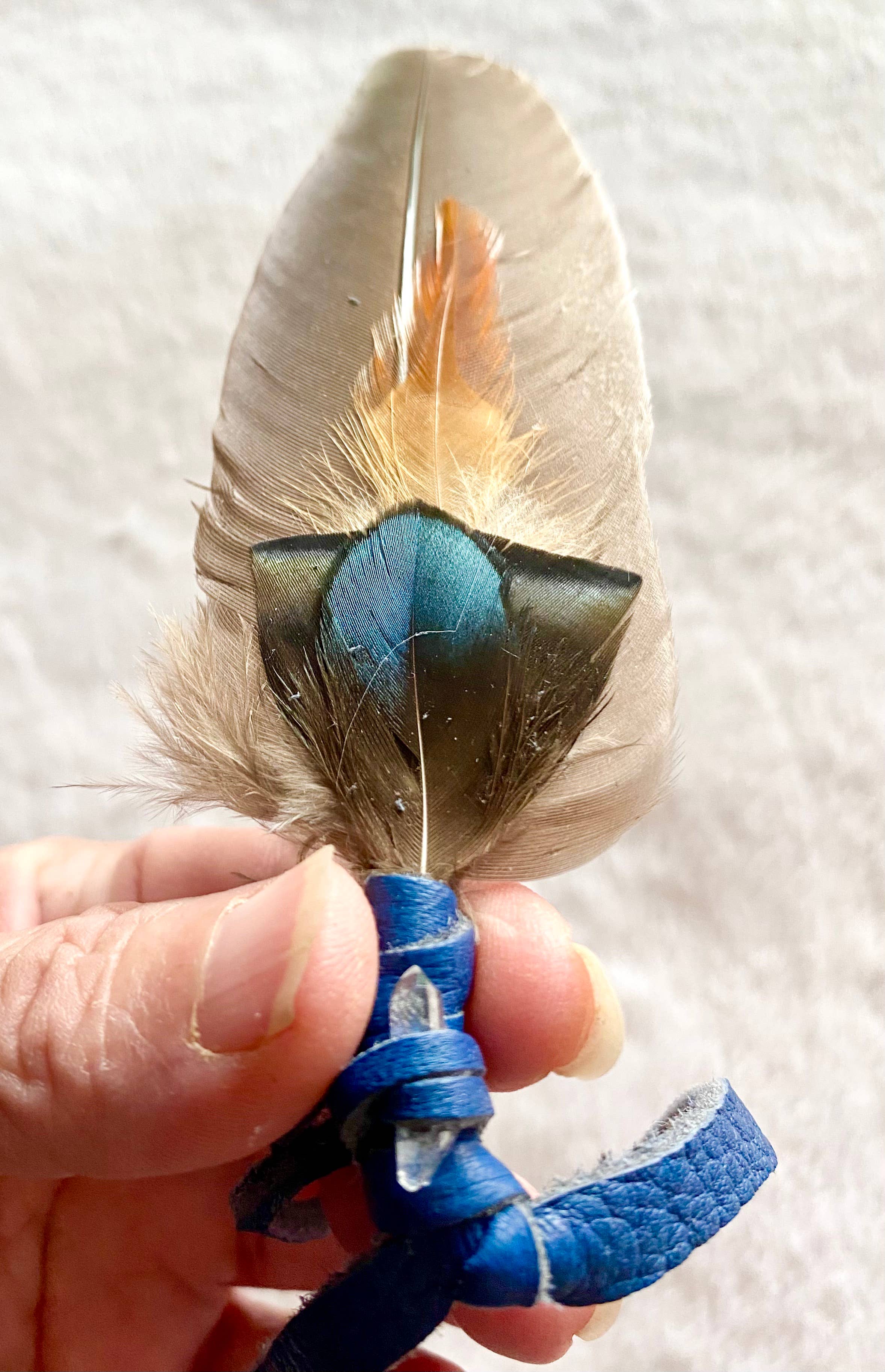 Smudging Feather Fan Bright colors