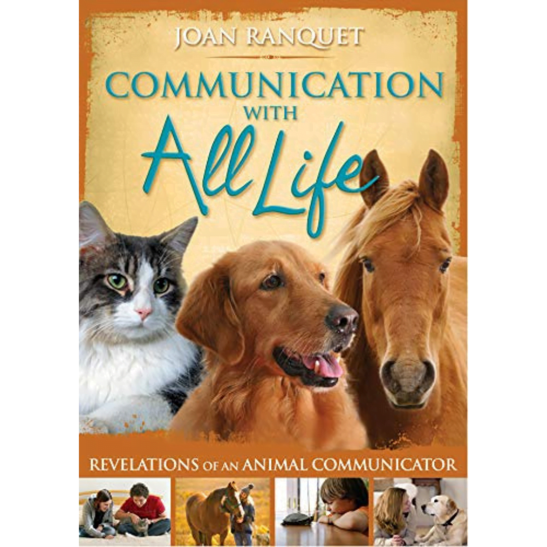 Communication With All Life image 0