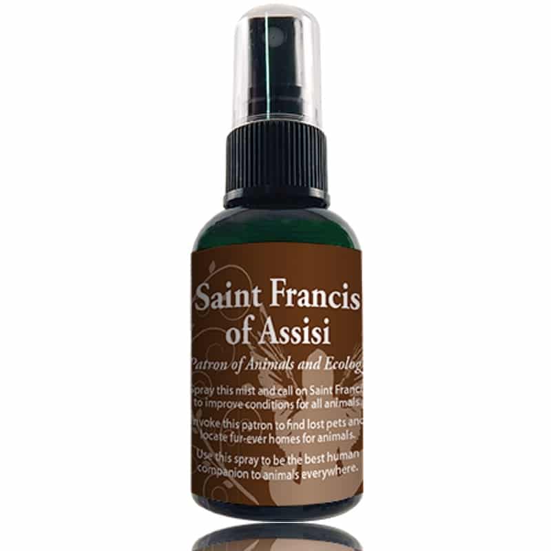 Saint Francis of Assisi Spray image 0