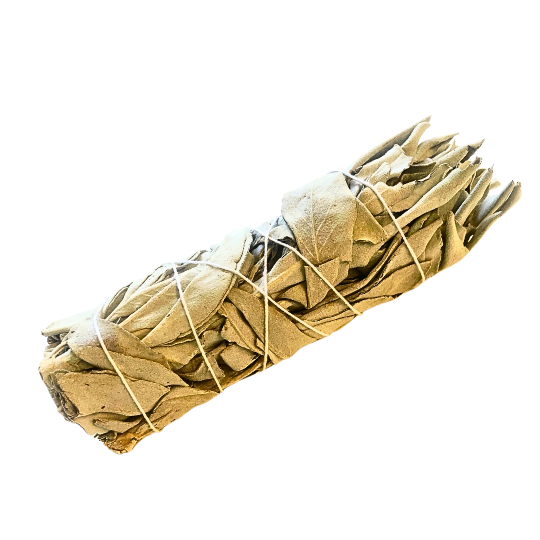 White Sage Bundle Small image 0