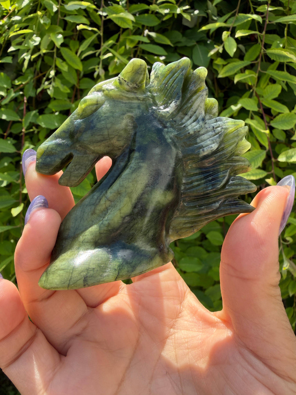 Jade Horse Head